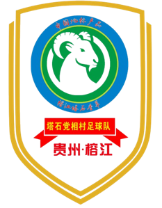 党相村足球队
